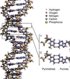 348659d77822ec1006b40735bc42f192f7072e2a0e1fbd9168a605cef5fca336.png