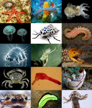 62fa1de2b5266821ea5ad4b91e9cdbeb724b0b520daf44a09a2f566026eb53a4.png