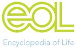 668522dd94ce06f53d61e3934b151fddd1342fc5cb11a72c5749d695054720e5.png