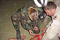Image 18US Military Police officer restraining and sedating prisoner while a soldier holds him down (from Political corruption)