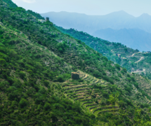 Jabal Soudah (3,000 m or 9,800 ft) located in the 'Asir subrange of the Sarat Mountains