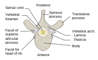 b73b33aa5461a55ece241930b9d32979352992a5b17817ec23e959d22853b004.png