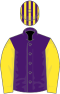 Purple, yellow sleeves, purple and yellow striped cap