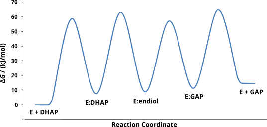 Free energy changes