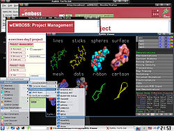 Screenshot of BioSLAX